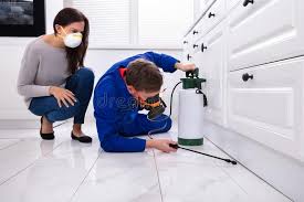 Best Residential Pest Control  in Brocton, NY